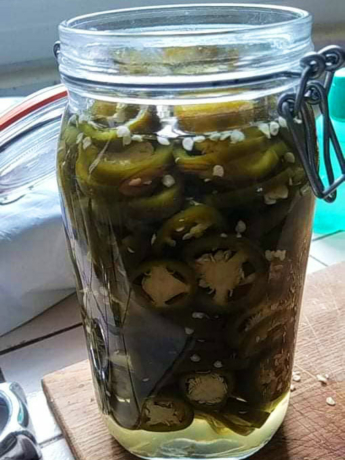 Pickles de jalapeno Frenchsmoker